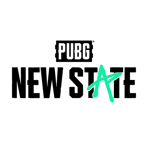 Picture of PUBG New State