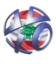 Picture of PSN - Lebanon